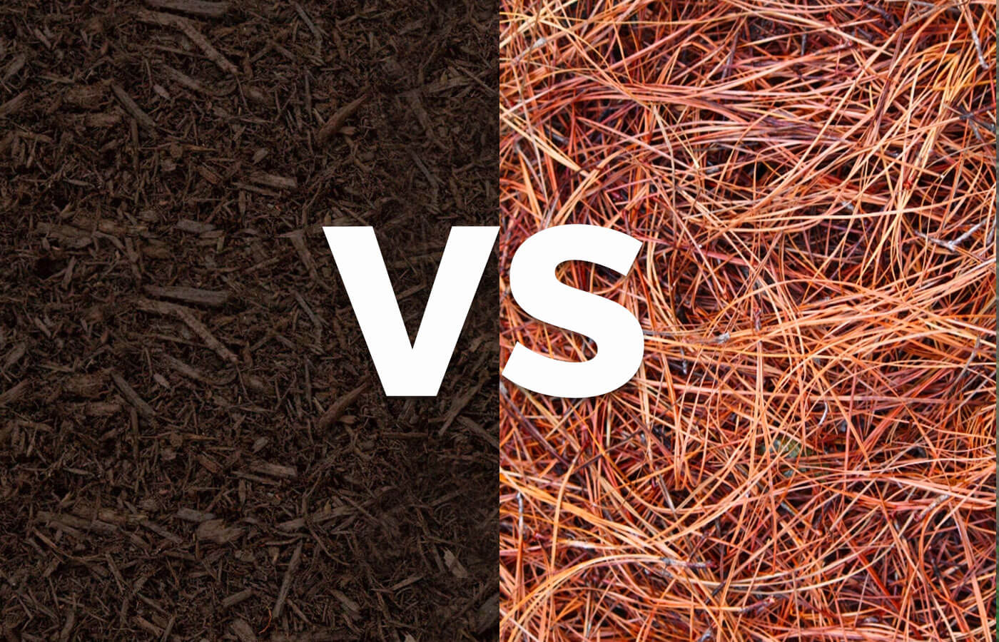 Should I Use Mulch or Pine Straw?